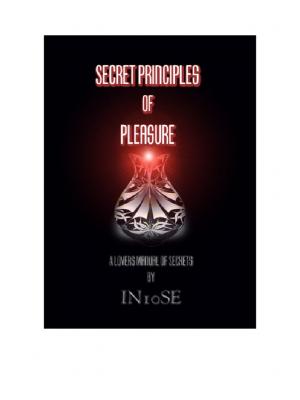 IN10SE – Secret Principles Of Pleasure