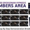 Igor Ledochowski – Advanced Ericksonian Hypnosis & Bonuses