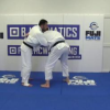 Ilias Iliadis – The World Championship Judo Blueprint