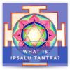 Ipsalu Tantra – Cobra Breath Level 2