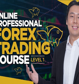 Jarratt Davis – Forex Trading Course