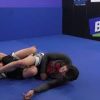 Jay Wadsworth – The Ashi Leglock System