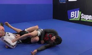 Jay Wadsworth – The Ashi Leglock System