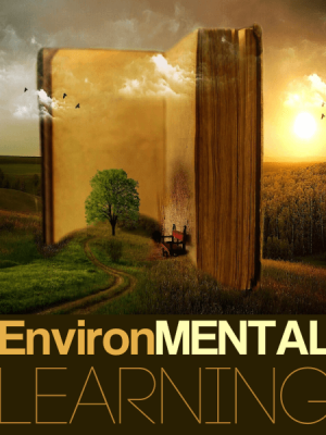 John David – BrainSpeak – EnvironMental Learning