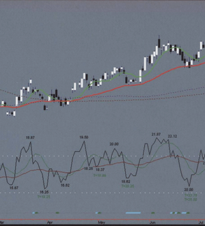 John Hayden – RSI. The Complete Guide