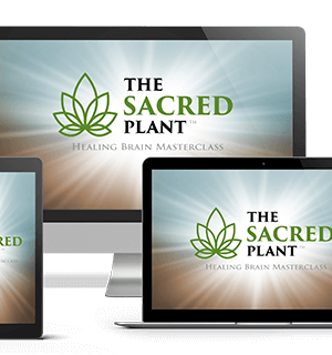 John Malanca – The Sacred Plant – Healing Brain Masterclass