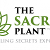 John Malanca – The Sacred Plant – How To Make It Work For You Masterclass