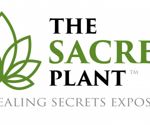 John Malanca – The Sacred Plant – How To Make It Work For You Masterclass