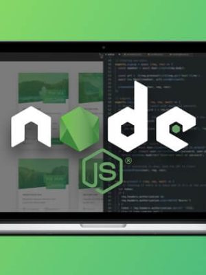 Jonas Schmedtmann – Node.js