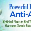 K.P. Khalsa – Powerful Plants for Anti-Aging