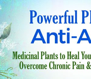 K.P. Khalsa – Powerful Plants for Anti-Aging