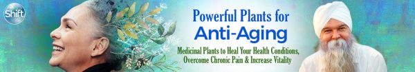 K.P. Khalsa – Powerful Plants for Anti-Aging