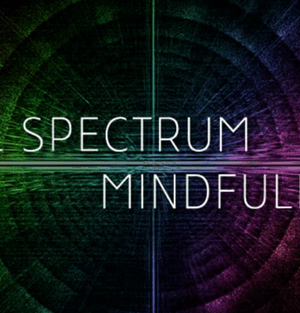 Ken Wilber – Full Spectrum Mindfullness 2019