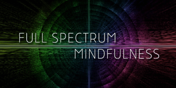 Ken Wilber – Full Spectrum Mindfullness 2019