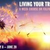 Kristopher Dillard – Living Your True Purpose