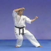 Kyokushin karate Katas