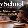 Law School for Everyone Litigation