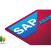 Learn SAP ABAP- SAP ABAP Programming Language For Beginners