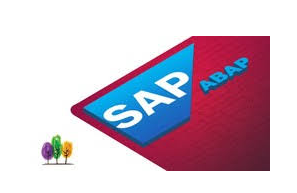 Learn SAP ABAP- SAP ABAP Programming Language For Beginners