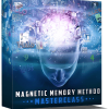 Magnetic Memory Method Masterclass Risk