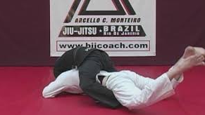 Marcello Monteiro – BJJ Curriculum Blue to Purple Level 2