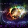 Mas Sajady – Pineal Gland Activation