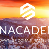 Michael Cyger – DNAcademy Domain Name Investing: Learn How to Buy and Sell Domain Names