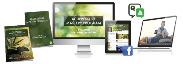 Michael Reed Gach – Acupressure Mastery Program