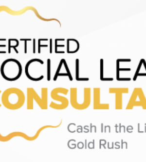 Mojo Global – Certified Social Leads Consultant