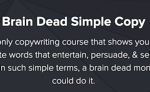 Nate Schmidt – Brain Dead Simple Copy