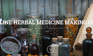 Chestnut Herbs – Online Herbal Medicine Making Course