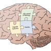 Piecing Together the Parkinson’s Puzzle – Maximizing Function & Improving Intervention