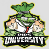 Pips University