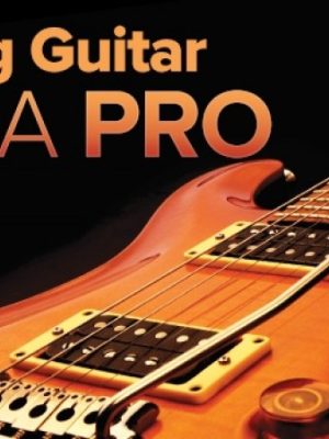 Playing Guitar like a Pro: Lead