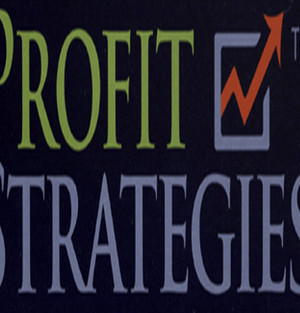 Profit Strategies – Market Dynamics Coaching – Mike Wade – Group 2