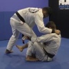 Renato Canuto – 50 Shades Of Arm Bar