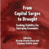 Ricardo Ffrench-Davis – From Capital Surges to Drought