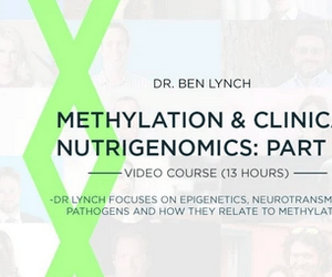 SHEI: Methylation & Clinical Nutrigenomics