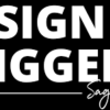 Sagi Shrieber – Design Triggers