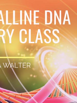 Sandra Walter – Crystalline DNA Mastery Class