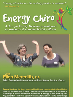 Sara Allen – Healing the Seven Generations – Energy Medicine Solutions for Genetic Diseases