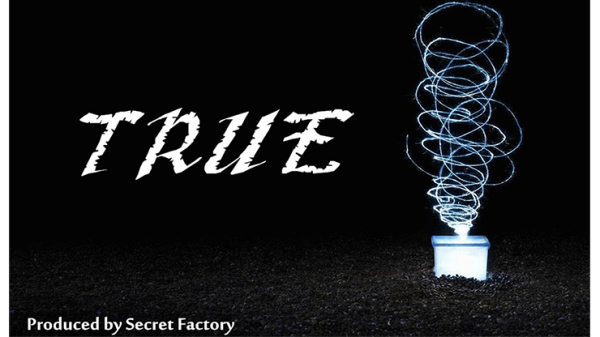 Secret Factory & Mr. K – TRUE