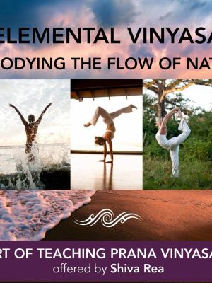 Shiva Rea – Elemental Pathway of Prana Vinyasa