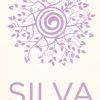 Silva Intuition – System