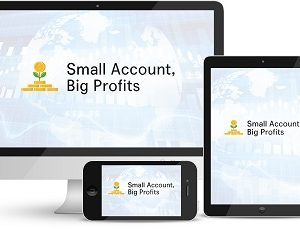 Walter Peters – Small Account Big Profits