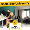 Socialbee – Socialbee University