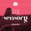 Sonia Choquette – Six Sensory Online Course