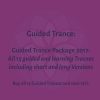 Stephen Gilligan 2017 Guided Trance Package