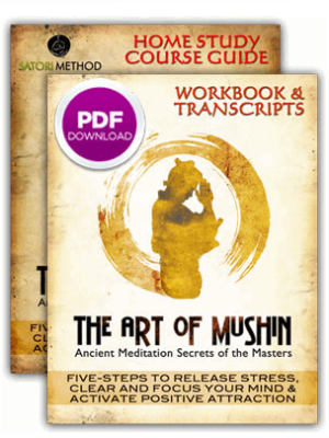 THE ART OF MUSHIN COURSE