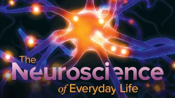 TTC – Neuroscience of Everyday Life